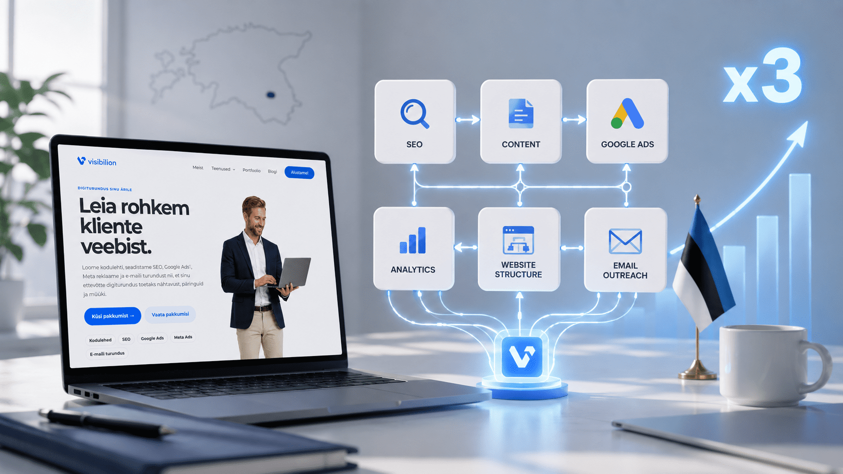 Visibilion.ee growth in Google, ads, social media and the digital marketing system